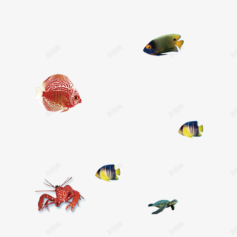 深海海鲜psd免抠素材_88icon https://88icon.com 大海 海洋 海洋生物 海洋鱼类 海鲜 深海 鱼 鱼类