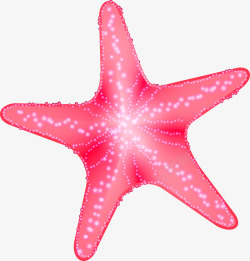 粉色海星矢量图素材