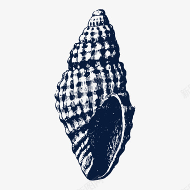 黑色手绘海螺素描图标图标