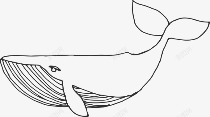 海洋生物手绘鲸鱼图标图标