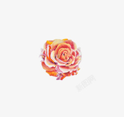 色彩手绘玫瑰花素材