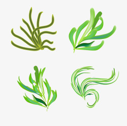 绿色手绘海洋藻类植物素材