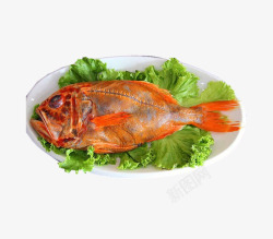 橘红色的鱼放在生菜上的长寿鱼图高清图片