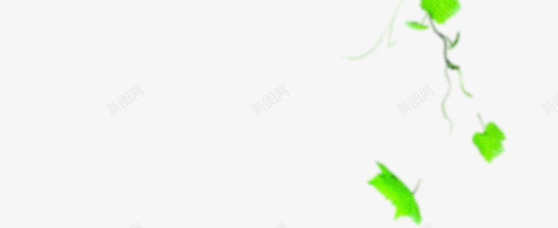 春天环保绿叶藤蔓装饰png免抠素材_88icon https://88icon.com 春天 环保 绿叶 藤蔓 装饰