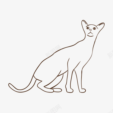 线描飞蛾手绘宠物猫咪图标图标