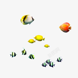 黄色黑色斑点鱼深海鱼高清图片