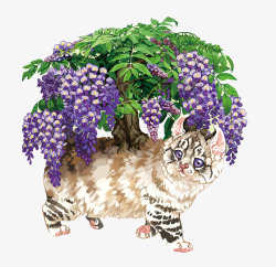 紫藤花和猫素材