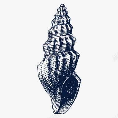 手绘海螺贝壳素描图标图标