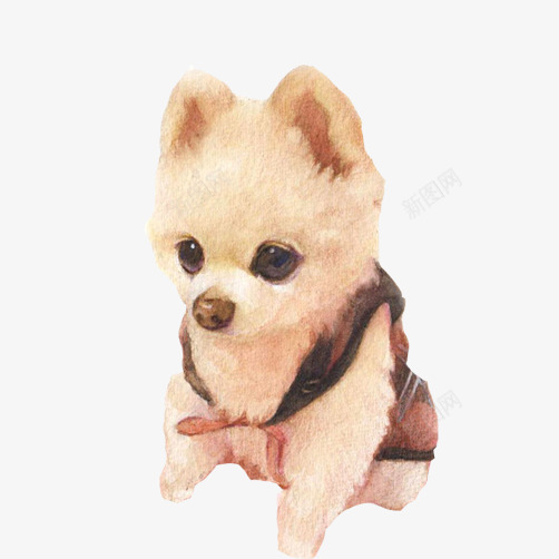 博美犬手绘画片png免抠素材_88icon https://88icon.com 卖萌 博美犬 小狗 彩绘宠物