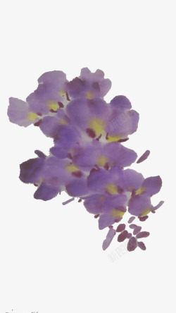 紫藤花水墨画法素材