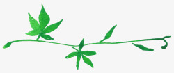 绿色藤蔓树叶素材