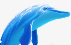 蓝色的海洋海豚素材