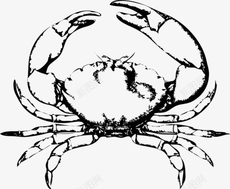 手绘螃蟹图标图标