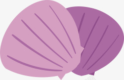 紫色贝壳素材