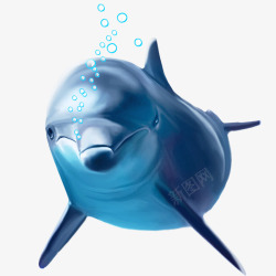 吐泡泡的蓝色海豚素材