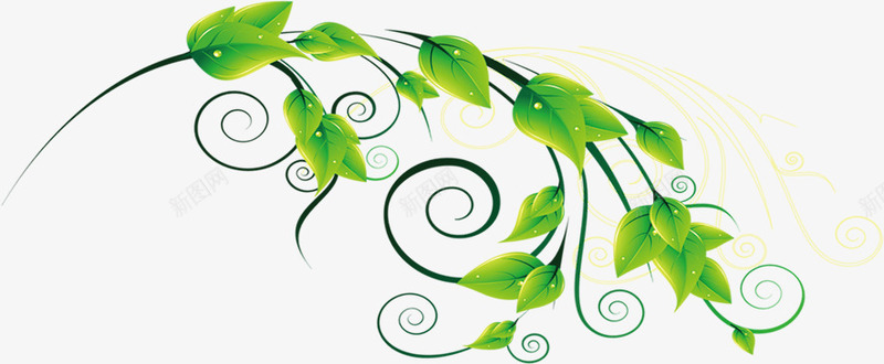 绿色藤蔓植物装饰png免抠素材_88icon https://88icon.com 植物 绿色 藤蔓 装饰