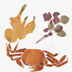 紫苏蒸蟹原料手绘画片素材