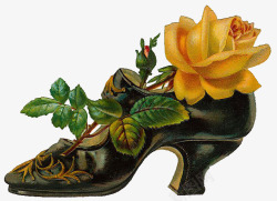 玫瑰橙色印花黑皮鞋素材