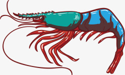 卡通色彩虾子创意矢量图素材