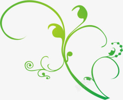 绿植植被藤蔓图案抠图高清图片