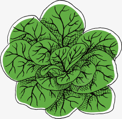 手绘水绿色蔬菜苗矢量图素材