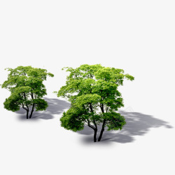 景观鸟瞰树素材