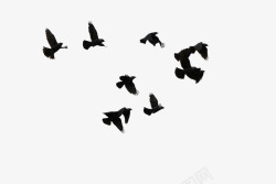 黑色鸟形状飞翔动物素材