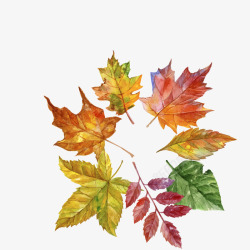 水彩绘秋季树叶框架素材