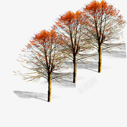 景观鸟瞰树素材