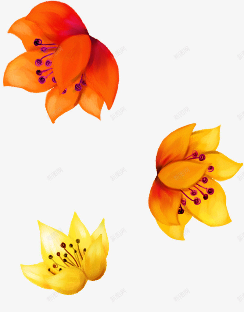 创意手绘扁平橙色的花卉植物png免抠素材_88icon https://88icon.com 创意 扁平 植物 橙色 花卉