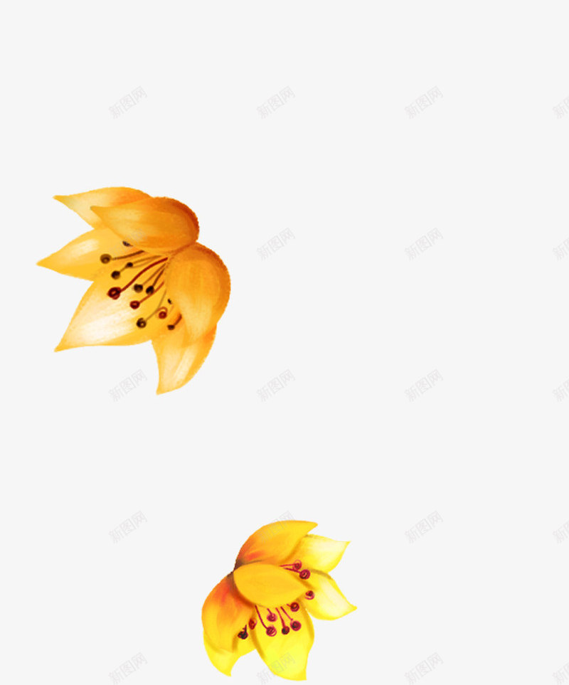 创意手绘扁平橙色的花卉植物png免抠素材_88icon https://88icon.com 创意 扁平 植物 橙色 花卉