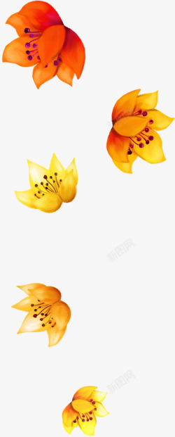 创意手绘扁平橙色的花卉植物素材