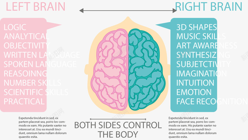 左右大脑对比图表矢量图eps免抠素材_88icon https://88icon.com 分类说明 大脑 对比 矢量素材 粉色 蓝色 矢量图