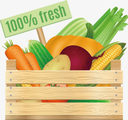 各种类型的蔬菜百分百新鲜的蔬菜高清图片