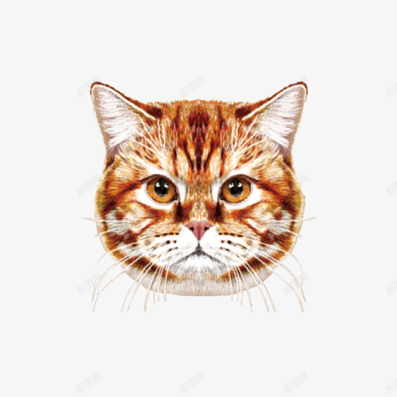 手绘猫咪png免抠素材_88icon https://88icon.com 头像 彩绘 手绘 猫咪