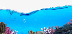 海洋海底生物素材