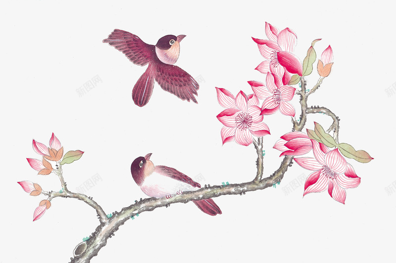 树枝上的喜鹊png免抠素材_88icon https://88icon.com 喜雀 树枝 树枝上的喜鹊 粉色 花朵 飞翔的喜鹊