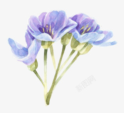 手绘蓝色花朵花卉素材