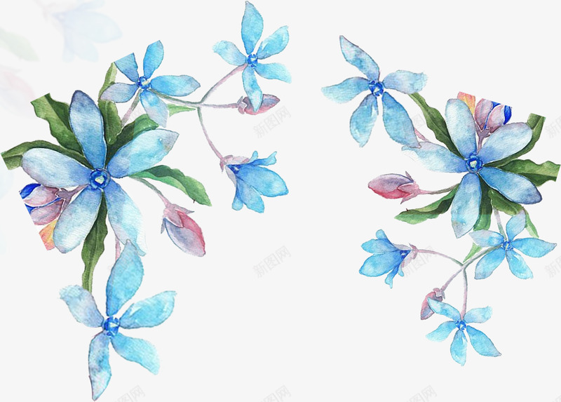 水彩绘蓝色花朵背景png免抠素材_88icon https://88icon.com 水彩绘花朵背景 水彩绘蓝色花朵 花卉 蓝色花朵 蓝色花朵背景
