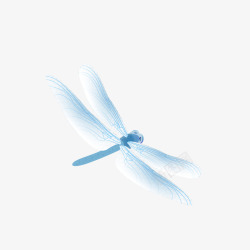 蓝色蜻蜓素材