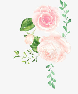 手绘水彩绘画粉嫩玫瑰花素材
