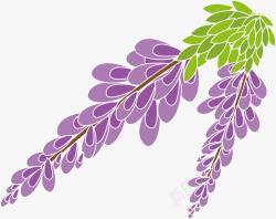 扁平花藤紫色卡通扁平花藤高清图片