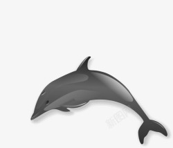 卡通海豚素材