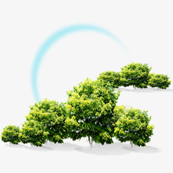 彩虹森林素材