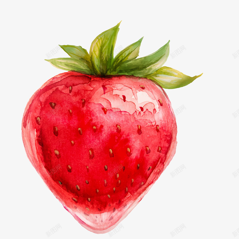 手绘水果之草莓png免抠素材_88icon https://88icon.com 彩绘 手绘 植物 水果 红色 草莓 食物