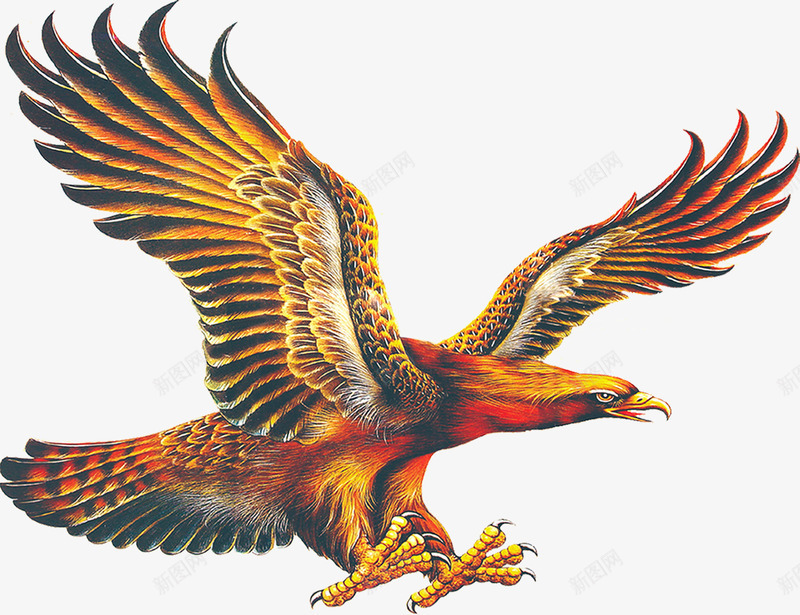 凶猛飞翔展翅老鹰png免抠素材_88icon https://88icon.com 凶猛 展翅 老鹰 飞翔