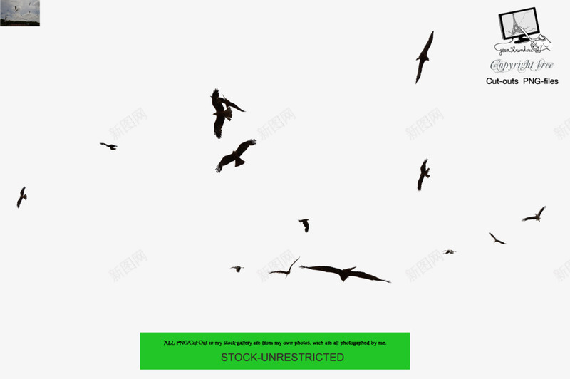 黑色飞翔的鸟png免抠素材_88icon https://88icon.com png素材 飞翔的鸟 黑色