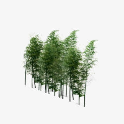 景观鸟瞰树素材