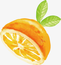水彩橙子矢量图素材