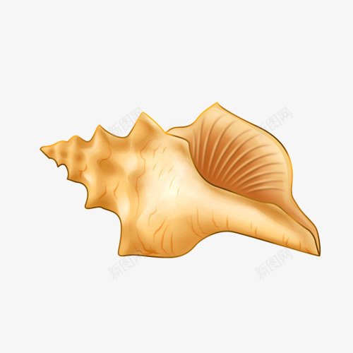 海洋贝壳海螺装饰元素png免抠素材_88icon https://88icon.com 沙滩 海洋生物 海螺 装饰 贝壳